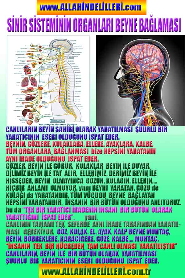 Allahın varliginin Delilleri, Allah in Delilleri, Esirin Delilleri, Esir Fiziği Yeni Fizik
