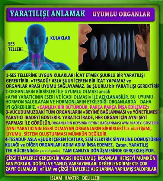 Allahın Delilleri net