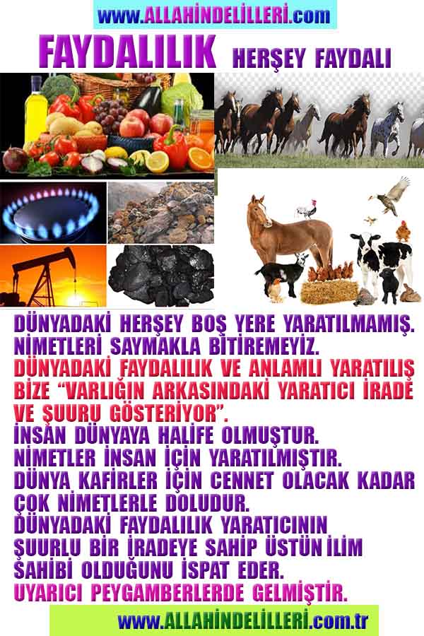 Allahın Delilleri net