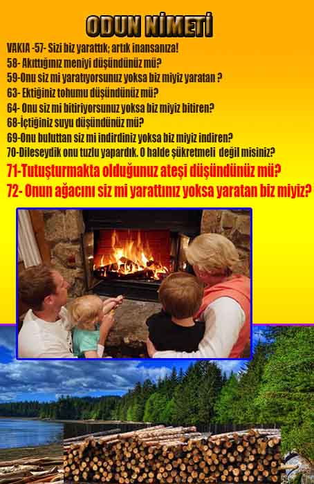 Allahın Delilleri net