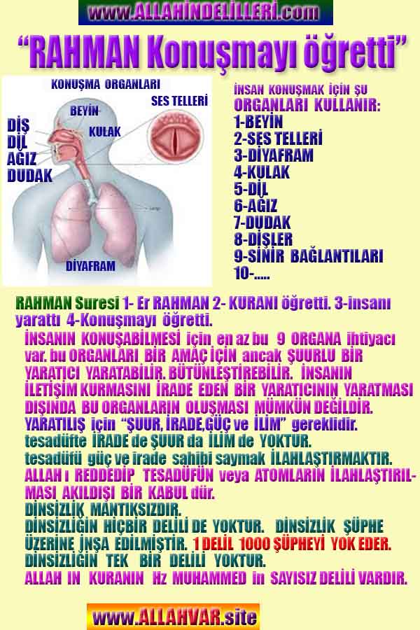 Allahın Delilleri net