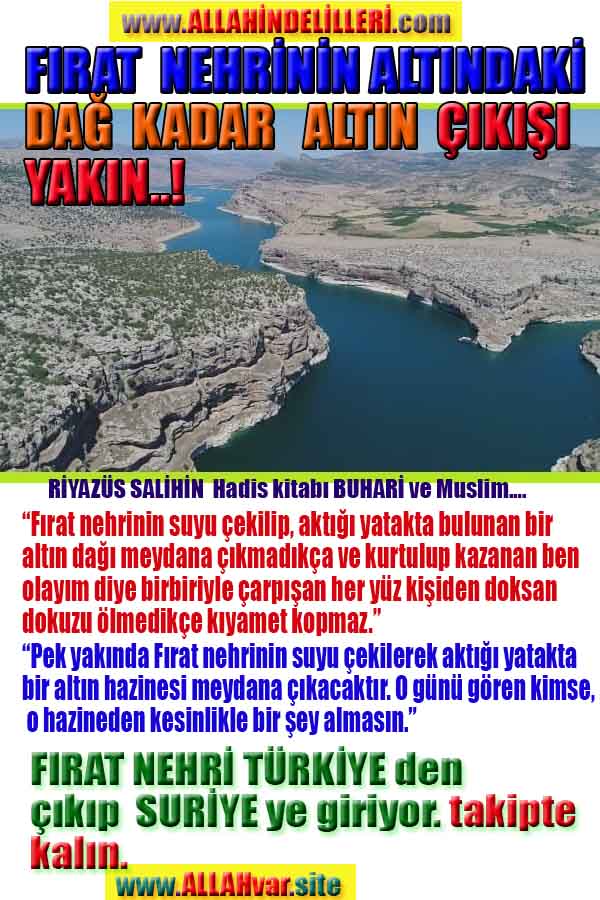 Allahın Delilleri net