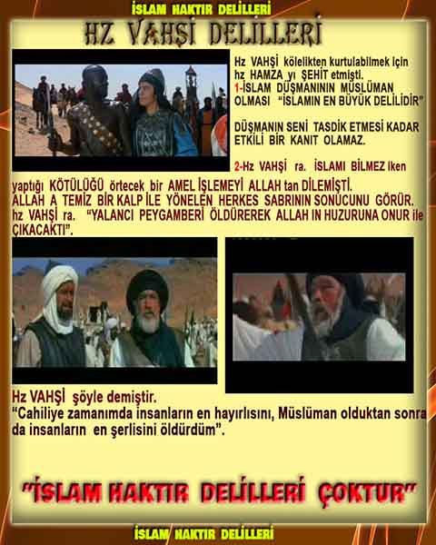 Allahın Delilleri net