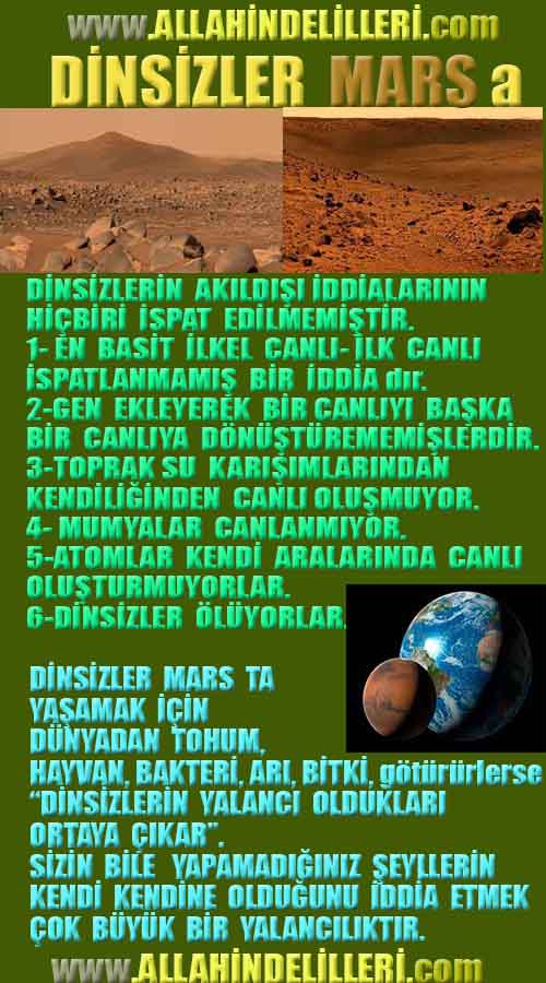 Allahın Delilleri net