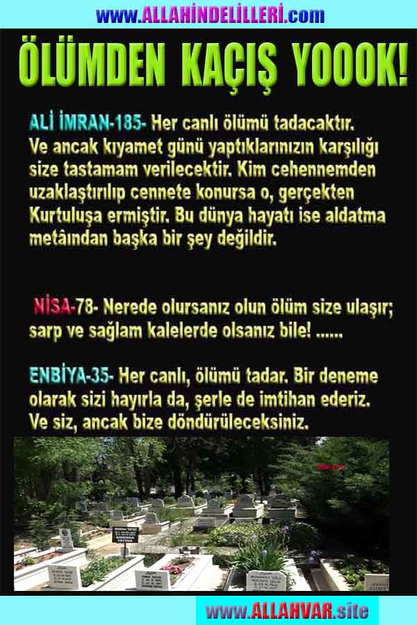 Allahın Delilleri net