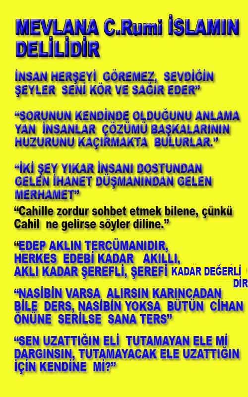 Allahın Delilleri net