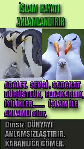 Allah varlığının delilleri