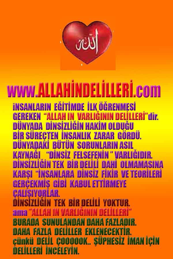 Allah var delilleri