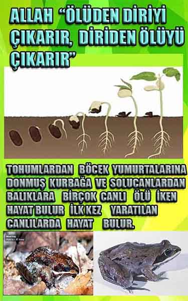 Allah varlığının delilleri