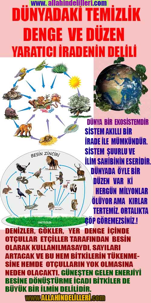 Allahın Delilleri net