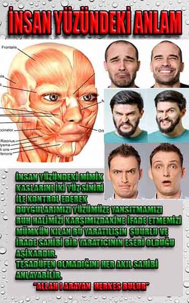 Allahın Delilleri net