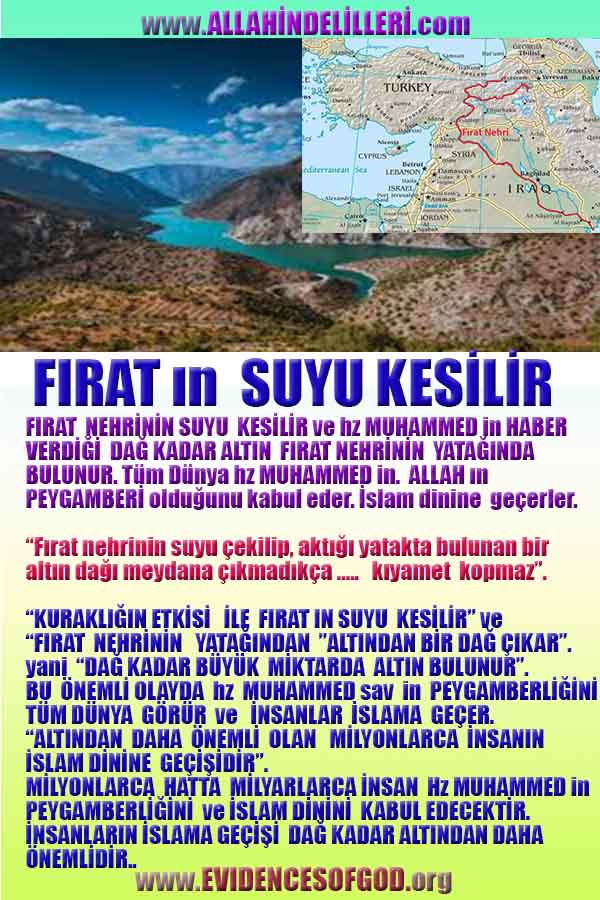 Allahın Delilleri net