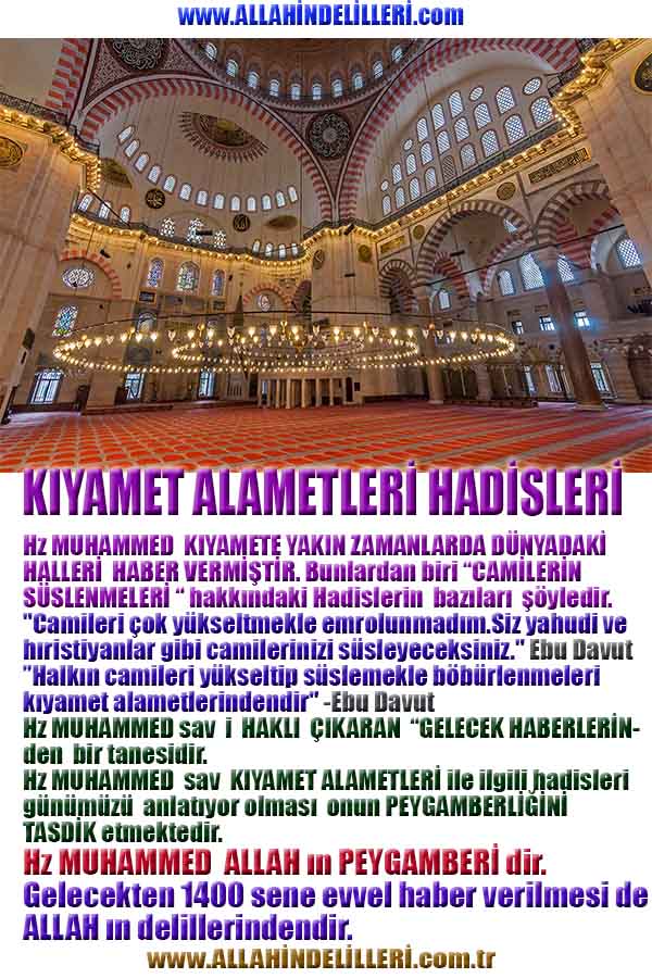 Allahın Delilleri net