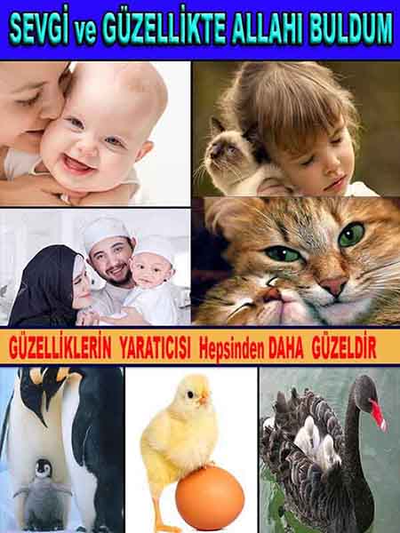 Allahın Delilleri net