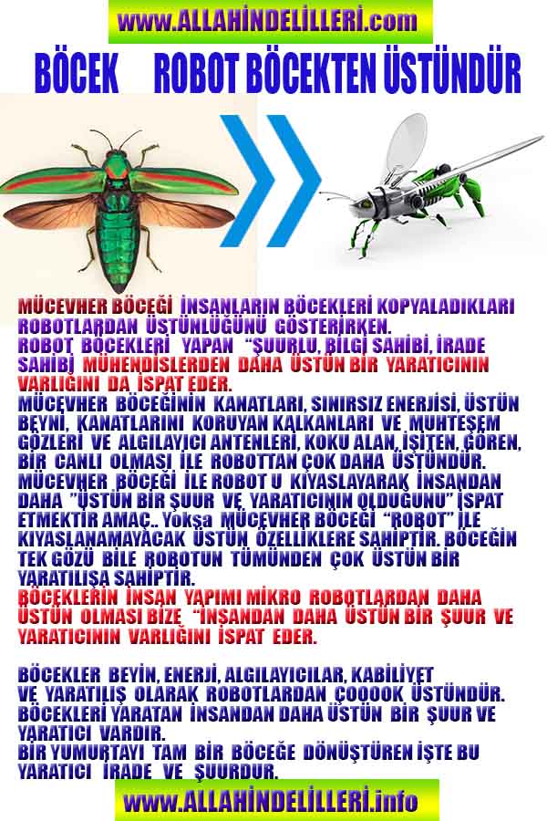 Allahın Delilleri net