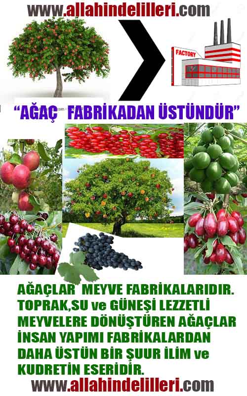 Allah varlığının delilleri