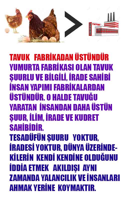 Allahın Delilleri net