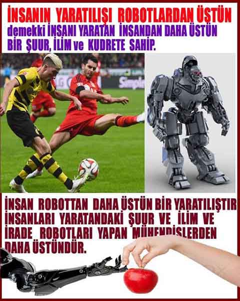 Allahın Delilleri net