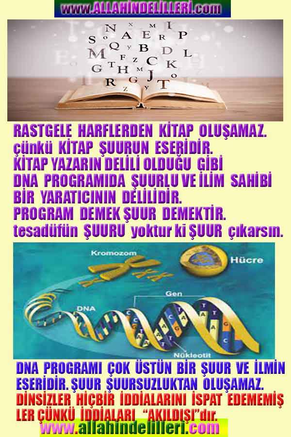 Allahın Delilleri net