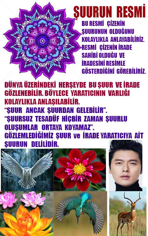 Allahın Delilleri net