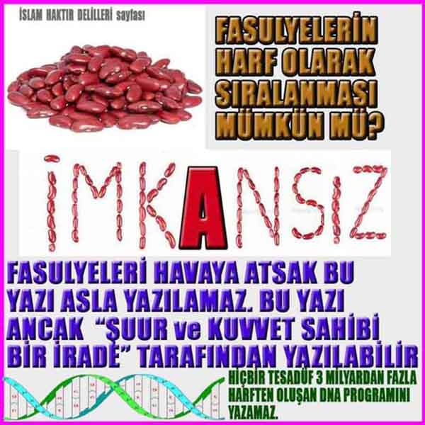 Allah varlığının delilleri