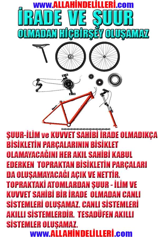 Allahın Delilleri net