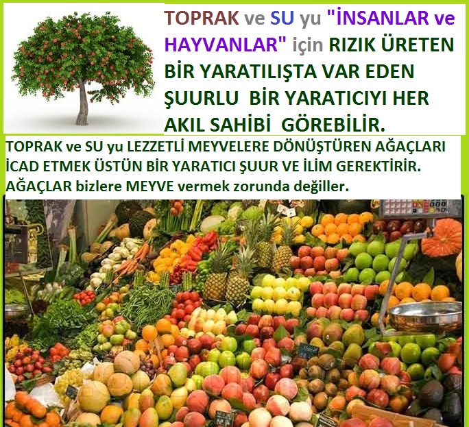 Allahın Delilleri net