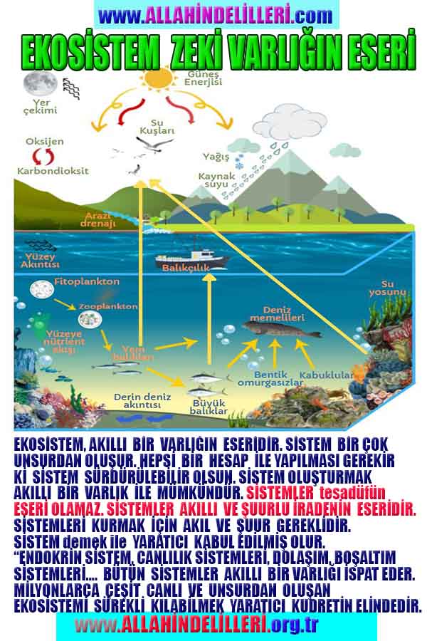 Allah varlığının delilleri