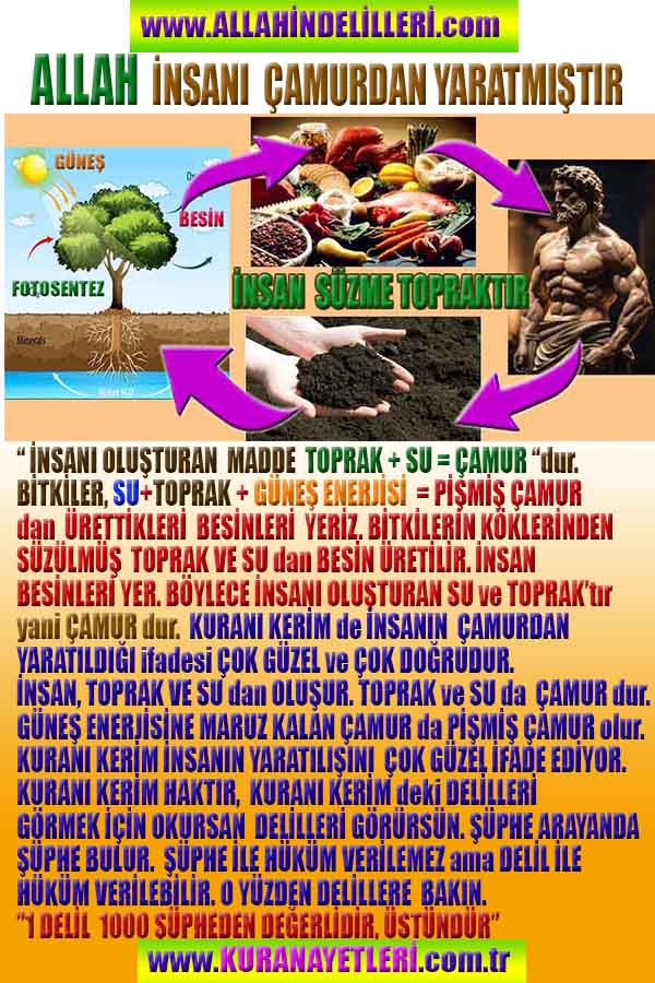 Allahın Delilleri net