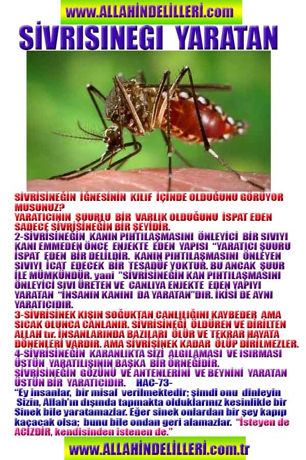 Allahın Delilleri net