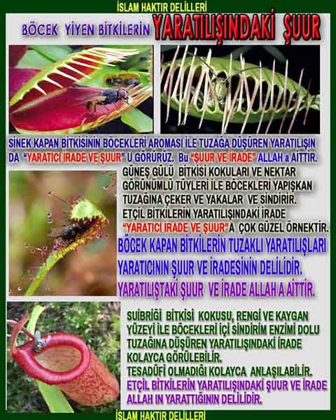 Allah varlığının delilleri