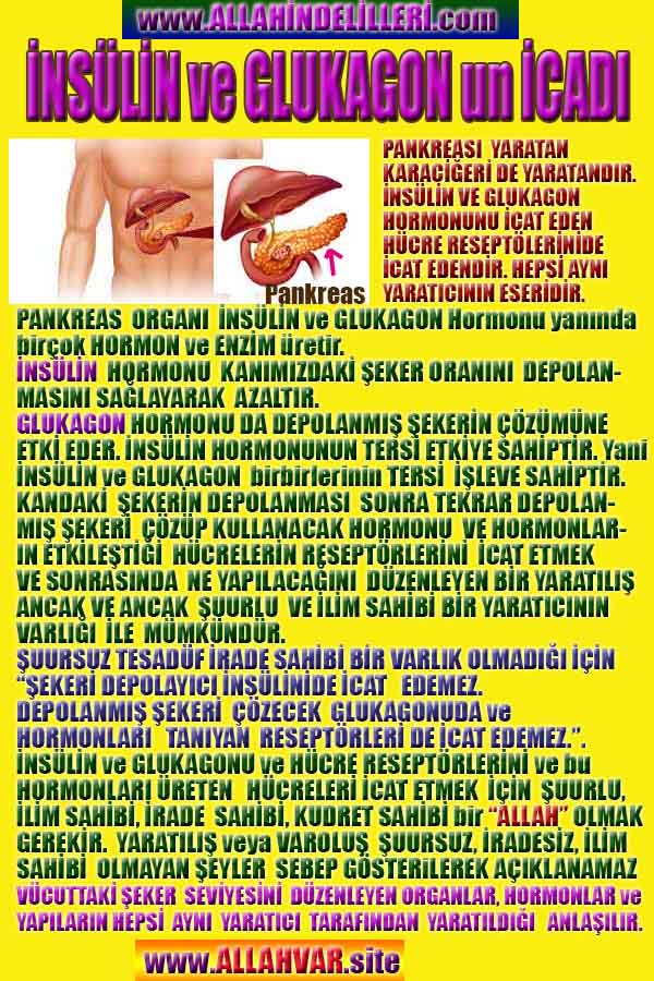 Allahın Delilleri net