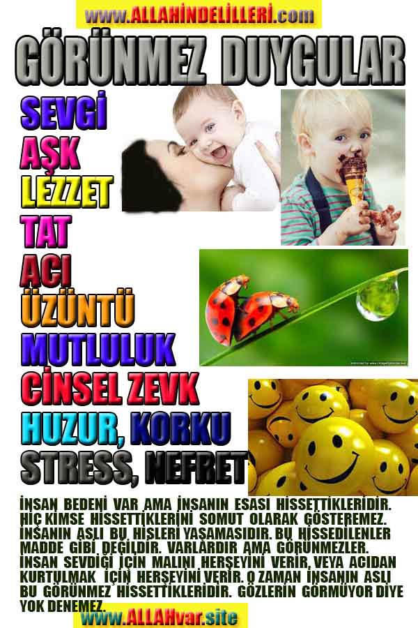 Allahın Delilleri net