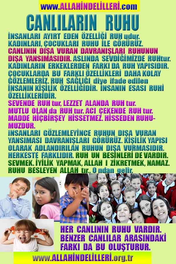 Allahın Delilleri net