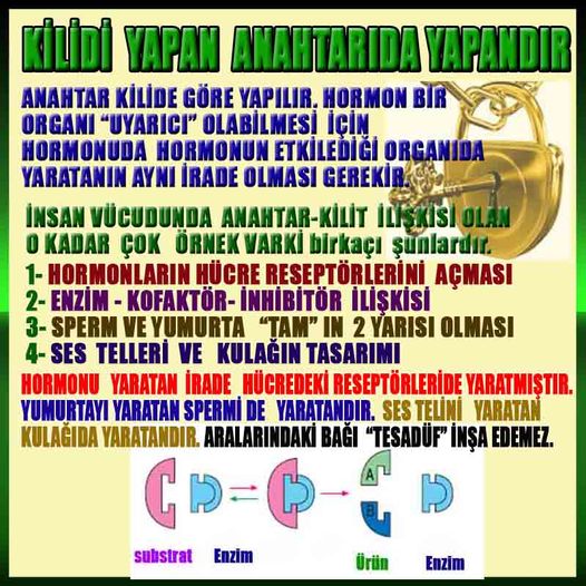 Allahın Delilleri net