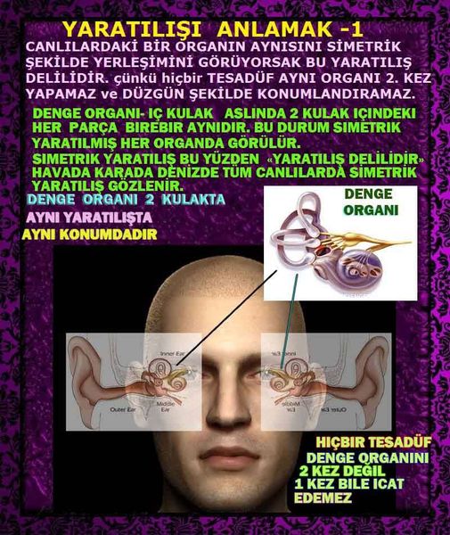 Allahın Delilleri net