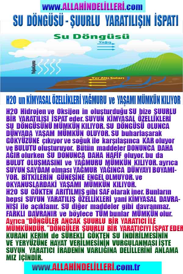 Allahın Delilleri net