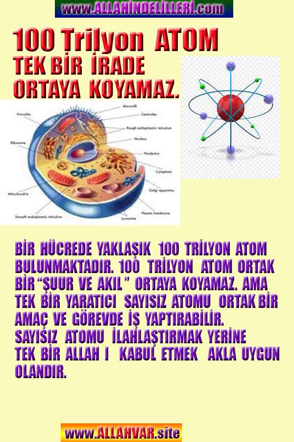 Allahın Delilleri net