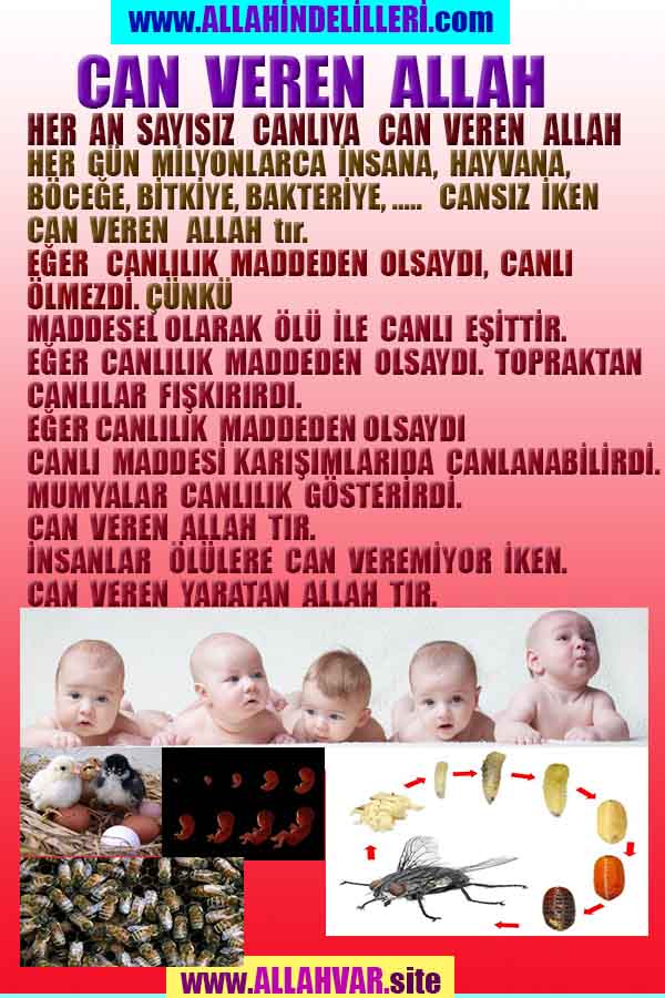 Allahın Delilleri net