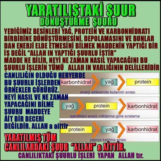 Allahın Delilleri net