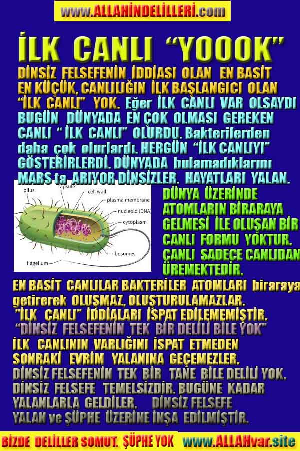 Allahın Delilleri net