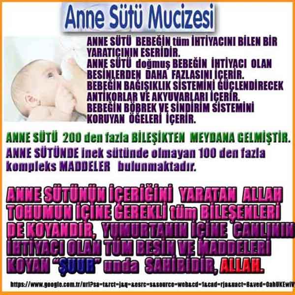 Allahın Delilleri net