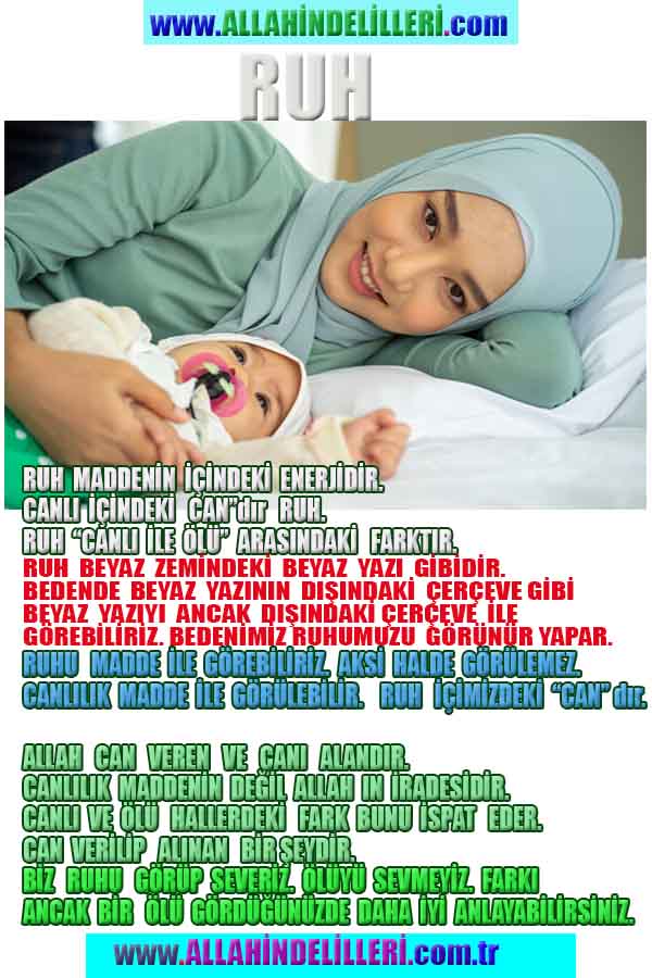 Allahın Delilleri net