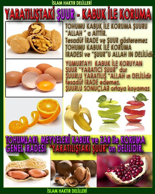 Allah varlığının delilleri