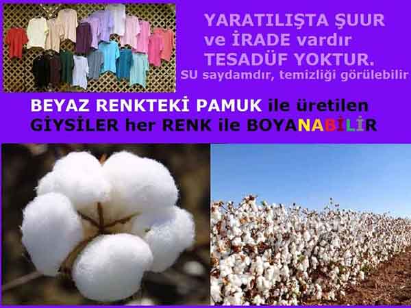 Allahın Delilleri net