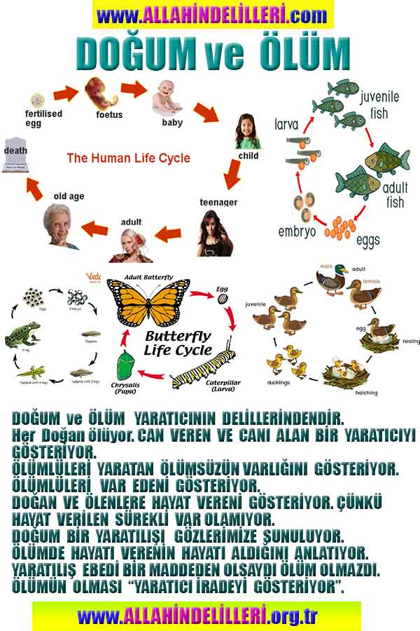 Allahın Delilleri net