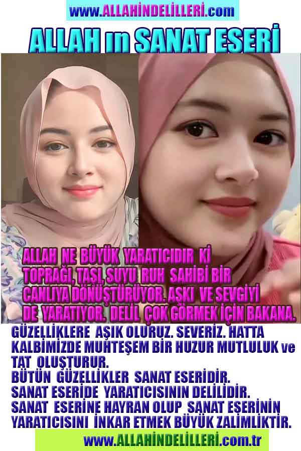 Allahın Delilleri net